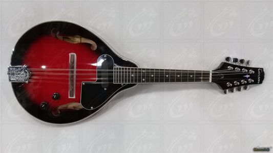 GEWA Electro mandolin